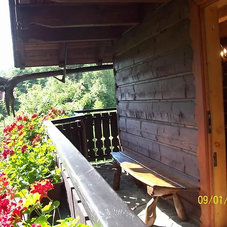 Goscinne Ino Zajrzyj