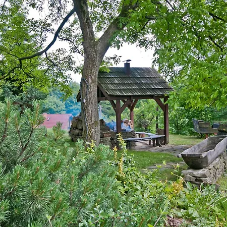 Goscinne Ino Zajrzyj * אוסטראון