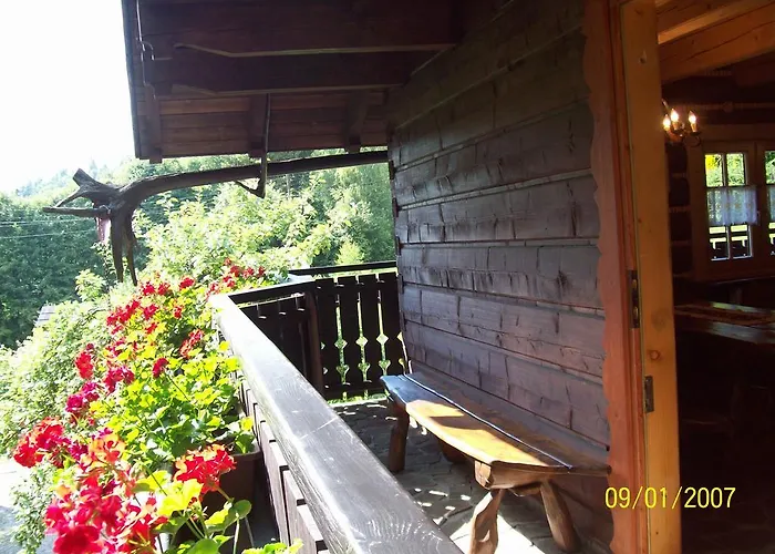 Goscinne Ino Zajrzyj