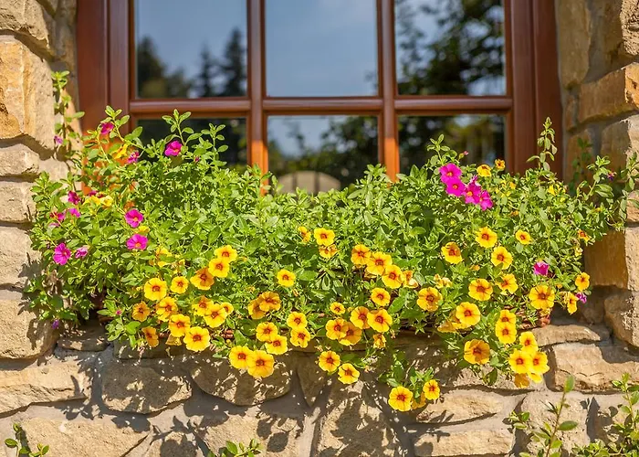 בית נופש Goscinne Ino Zajrzyj *