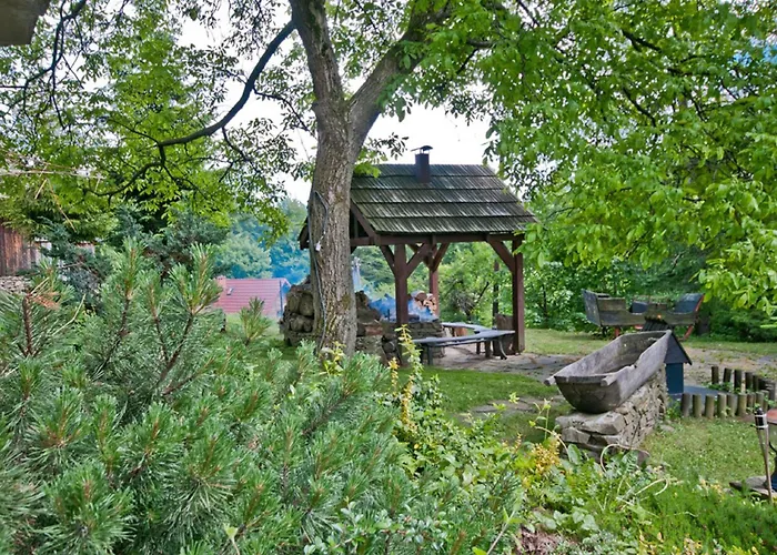 Goscinne Ino Zajrzyj * אוסטראון