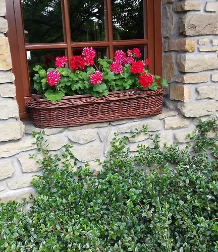 בית נופש Goscinne Ino Zajrzyj אוסטראון